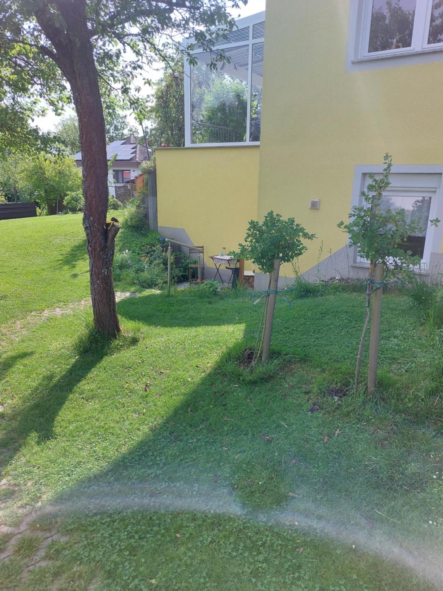 Apartment Gelbes Haus Heldritt *